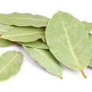 ZOOM sur la comptine : "nous n’irons plus au bois"