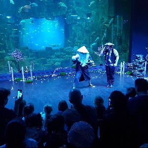 Sortie et spectacles à l'AQUARIUM DE PARIS