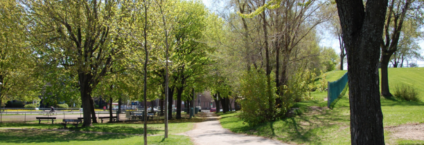 5 idées de sortie 100% nature avec bébé