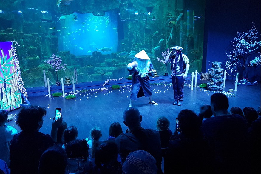 Sortie et spectacles à l'AQUARIUM DE PARIS